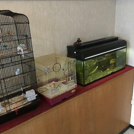 נאהא Okinawa Hotel Continental מראה חיצוני תמונה