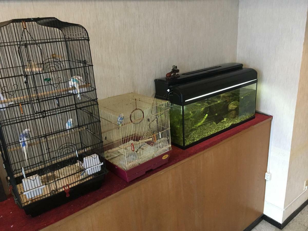 נאהא Okinawa Hotel Continental מראה חיצוני תמונה